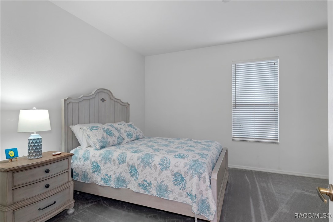 589 W Doerr Path, Hernando, New York image 34