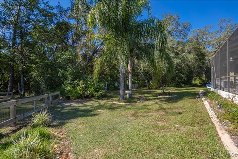 A home in Homosassa