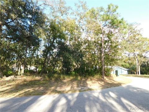 A home in Homosassa