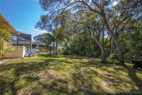 A home in Homosassa