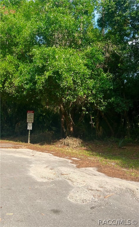 SE 170th Avenue, Ocklawaha, Florida image 6