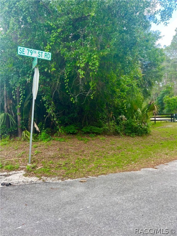 SE 170th Avenue, Ocklawaha, Florida image 5