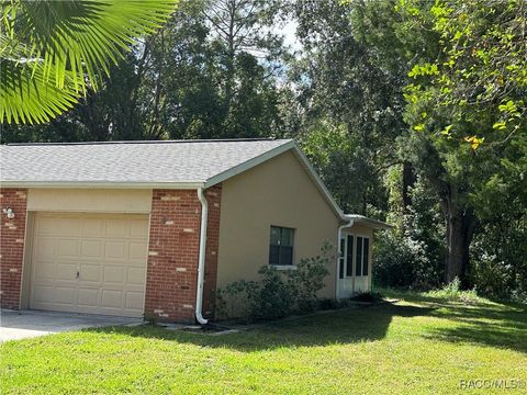 A home in Homosassa