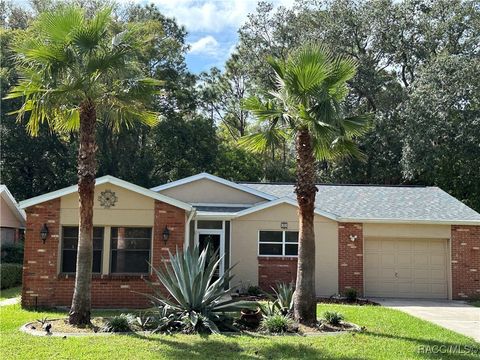 A home in Homosassa