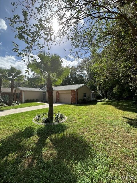 A home in Homosassa