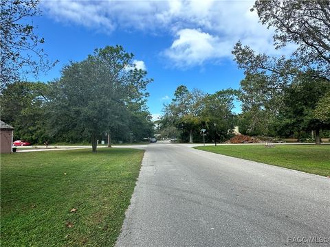 A home in Homosassa