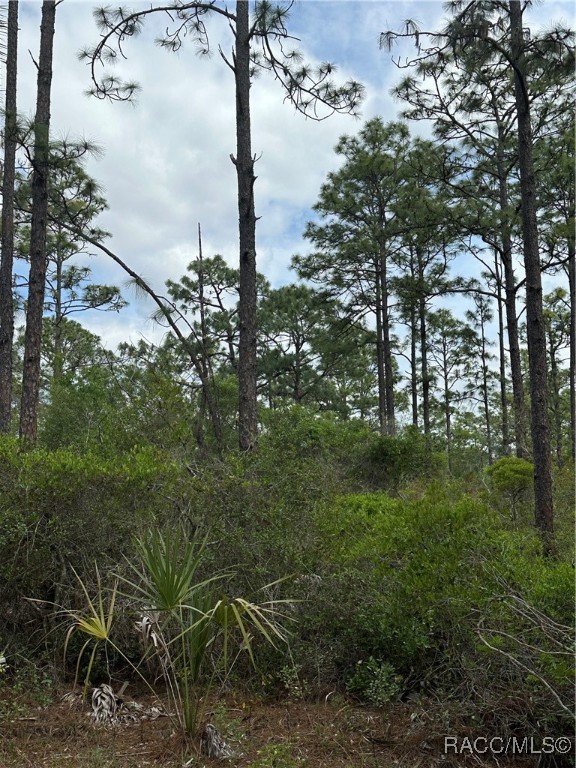 11647 W Cockscomb Drive, Crystal River, New York image 3