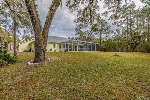 A home in Dunnellon