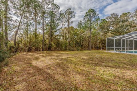 A home in Dunnellon