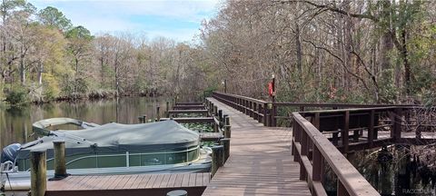 A home in Dunnellon