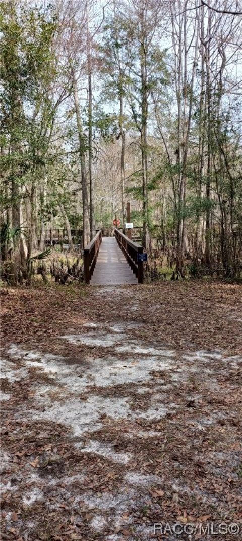 A home in Dunnellon