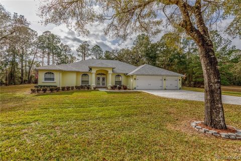 A home in Dunnellon