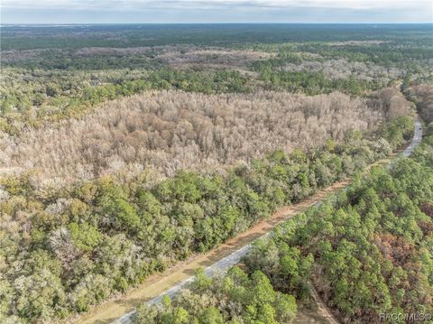 A home in Dunnellon