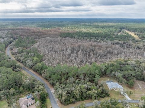 A home in Dunnellon