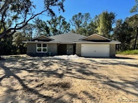 458 E Enfield Lane Citrus Springs FL 34434