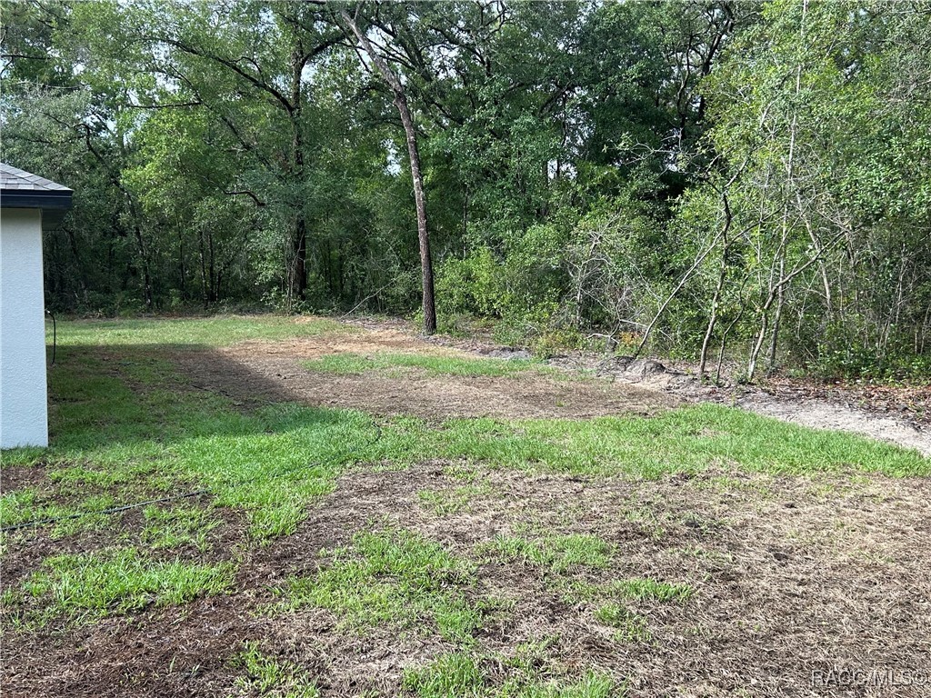 8410 N Pocono Drive, Citrus Springs, Florida image 3