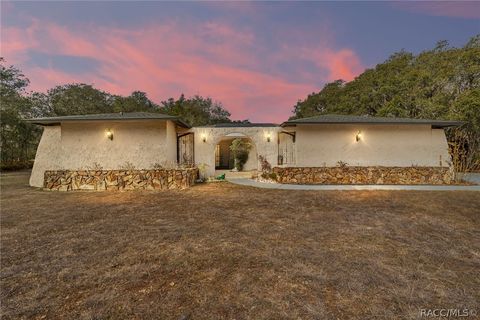 790 N Fresno Avenue Hernando FL 34442