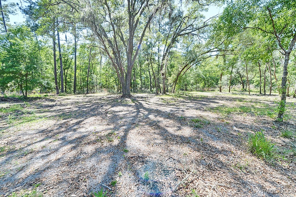 8924 N Evenstock Way, Crystal River, New York image 48