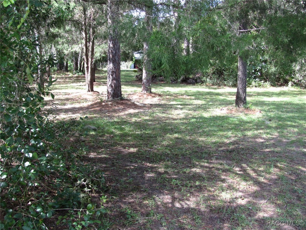 5198 N Sierra Vista Drive, Crystal River, New York image 50