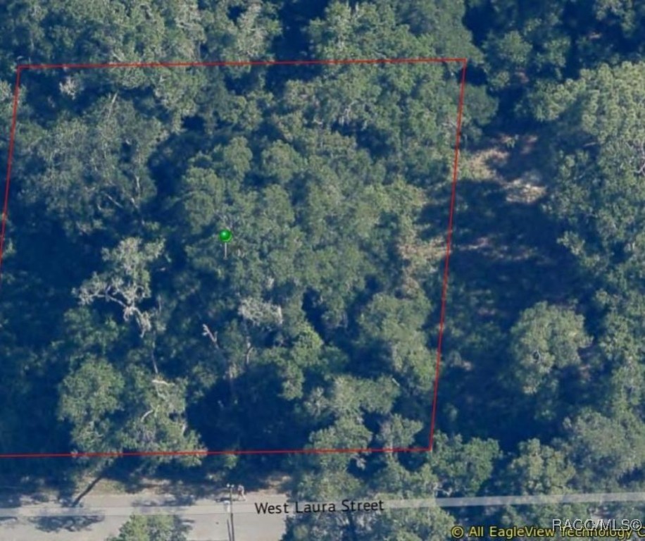 7835 W Laura Street, Dunnellon, New York image 3