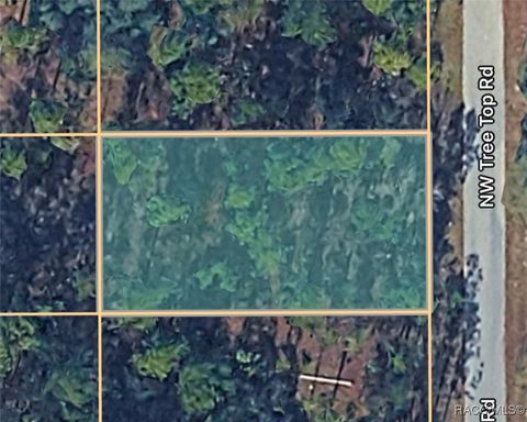 Vacant Land For Sale - 0000 NW Tree Top Unit #021 Road<br/> Dunnellon, FL 34431