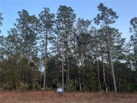 Homes For Sale - 7771 N Ring Drive<br/> Citrus Springs, FL 34434