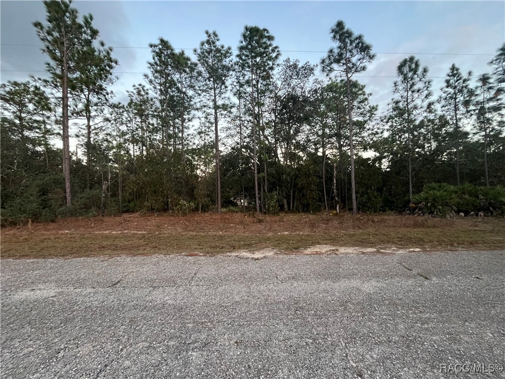 7771 N Ring Drive, Citrus Springs, Florida image 2