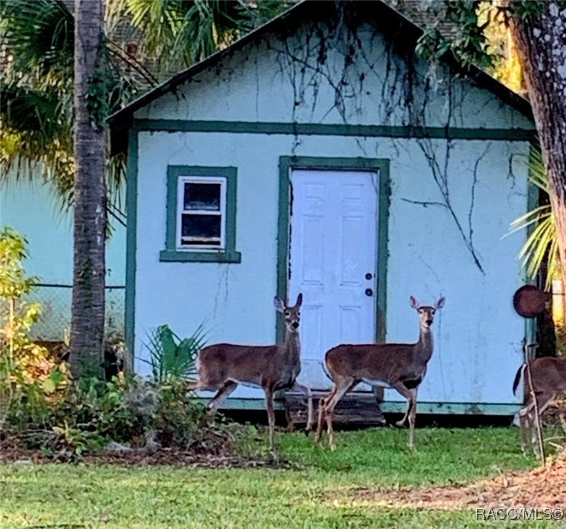 9708 W Hawthorne Street, Crystal River, Florida image 22