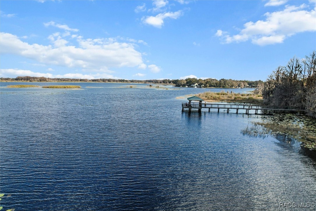 4497 N Lake Vista Trail, Hernando, Florida image 48