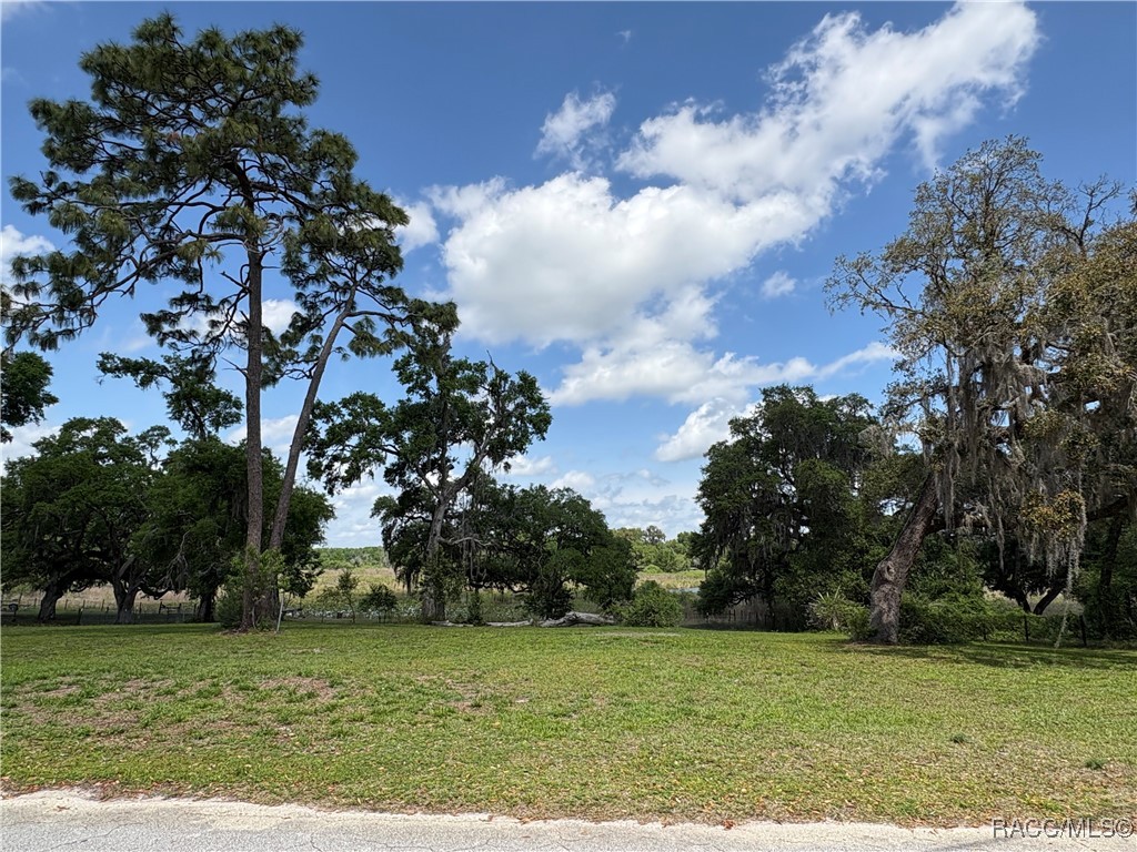 8047 E Sunray Lane, Floral City, Florida image 4