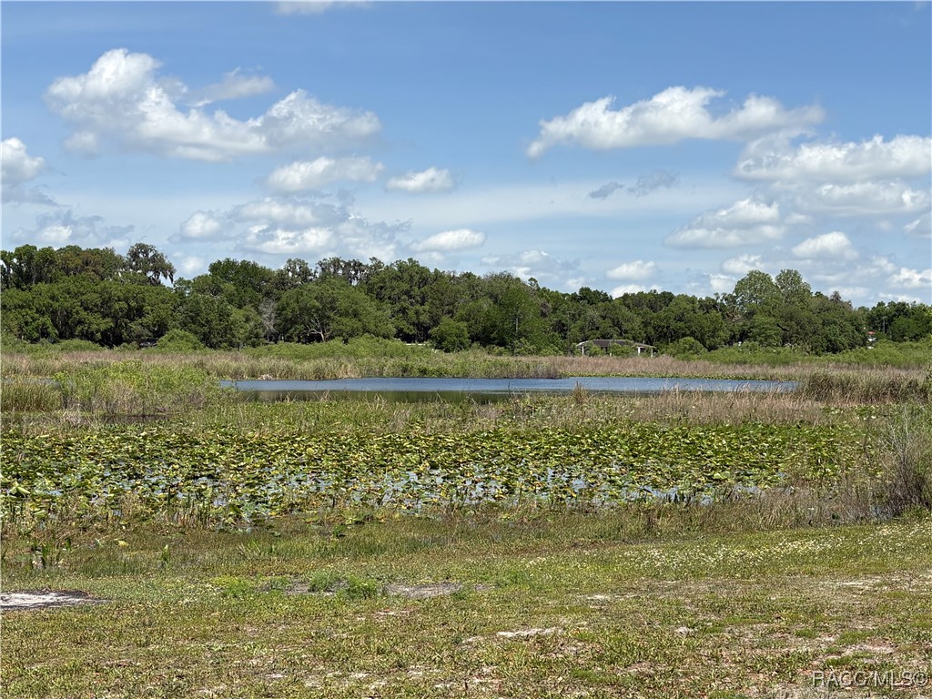8047 E Sunray Lane, Floral City, Florida image 2
