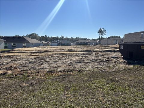 A home in Citrus Springs