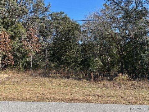 525 N Fresno Avenue Hernando FL 34442