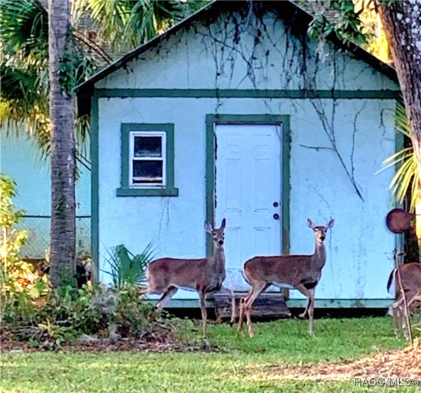 9708 Hawthorne Street, Crystal River, Florida image 23