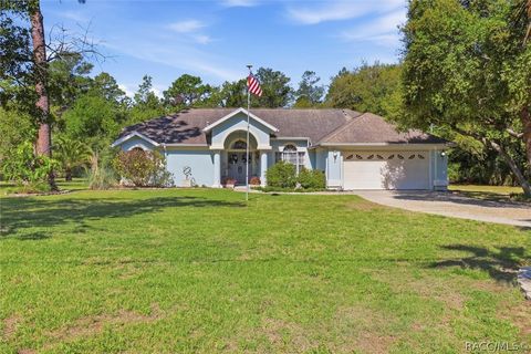 7655 N Firwood Circle Citrus Springs FL 34433