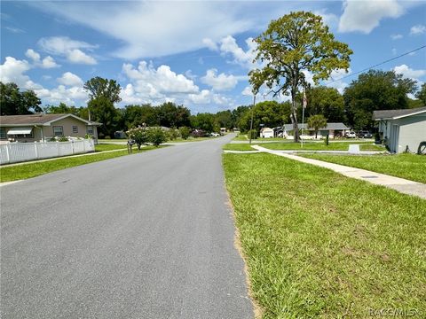 A home in Citrus Springs