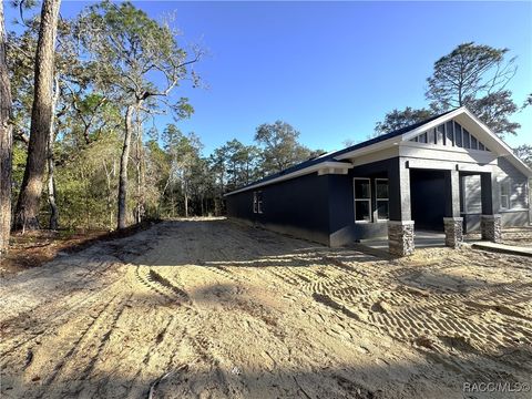 A home in Hernando