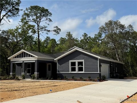 A home in Hernando
