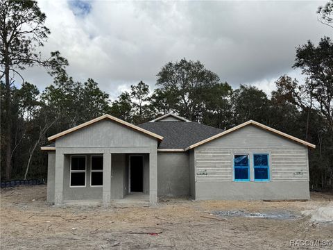 A home in Hernando