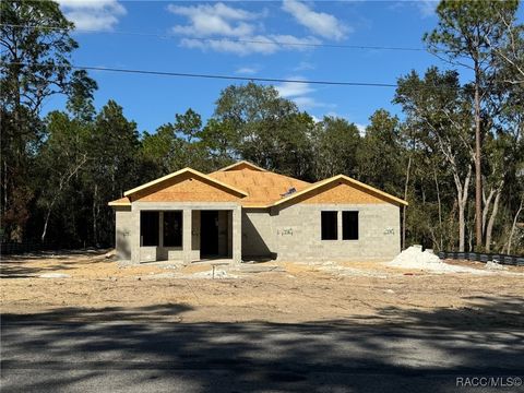 A home in Hernando