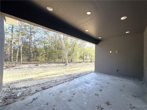 A home in Hernando