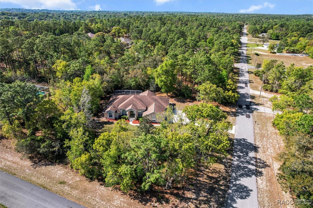 5019 N Mapleview Way, Beverly Hills, Florida image 50