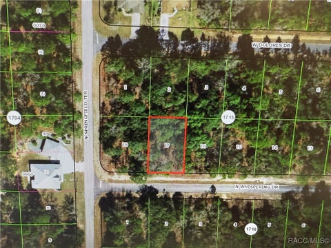 Homes For Sale - 6581 W Whispering Drive<br/> Dunnellon, FL 34434