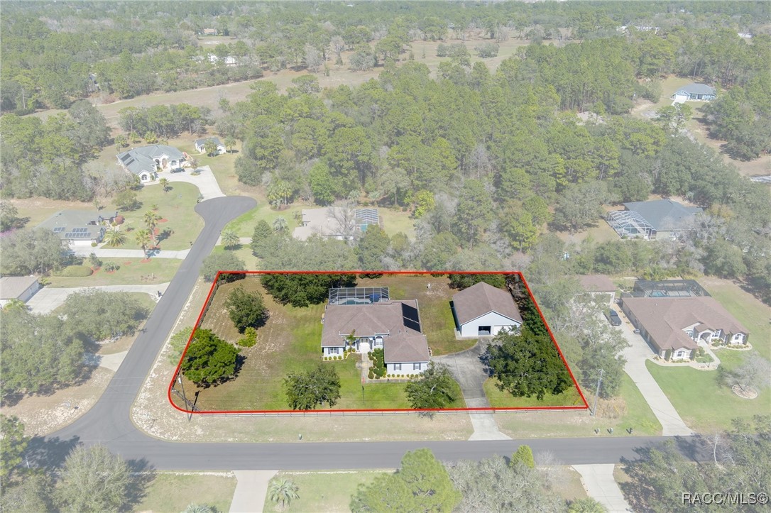 5417 N Rosedale Circle, Beverly Hills, Florida image 5