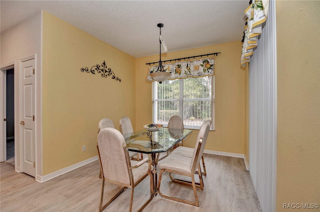 106 E Cypress Boulevard, Homosassa, Florida image 18