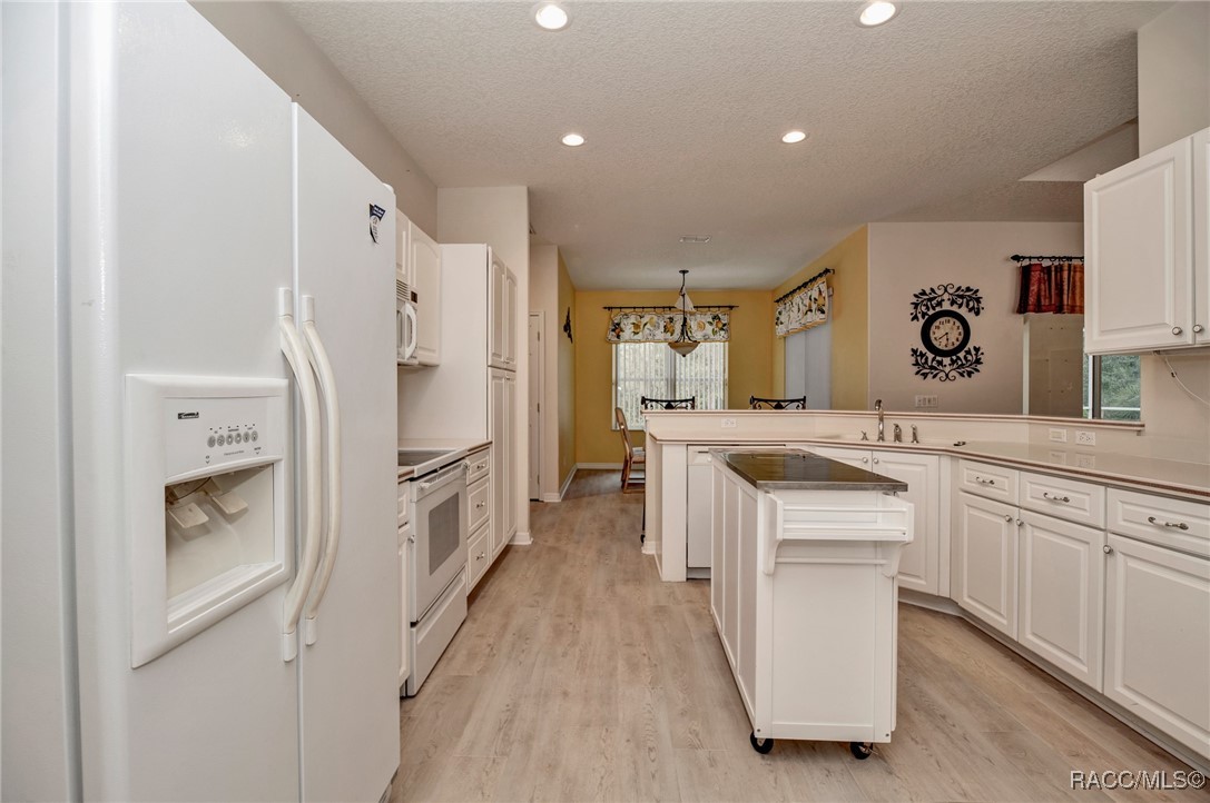 106 E Cypress Boulevard, Homosassa, Florida image 13