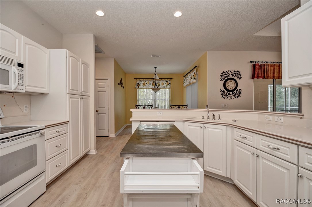 106 E Cypress Boulevard, Homosassa, Florida image 12