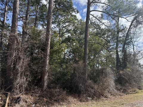Vacant Land For Sale - TBD Se 190th Avenue<br/> Silver Springs, FL 34488