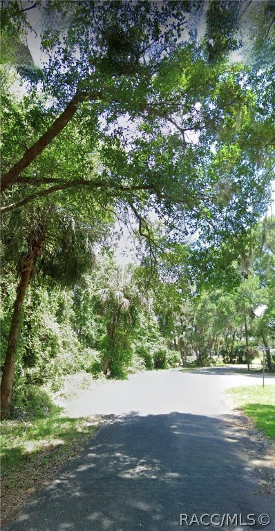 Lot 5 Allen Avenue, Inglis, Florida image 2