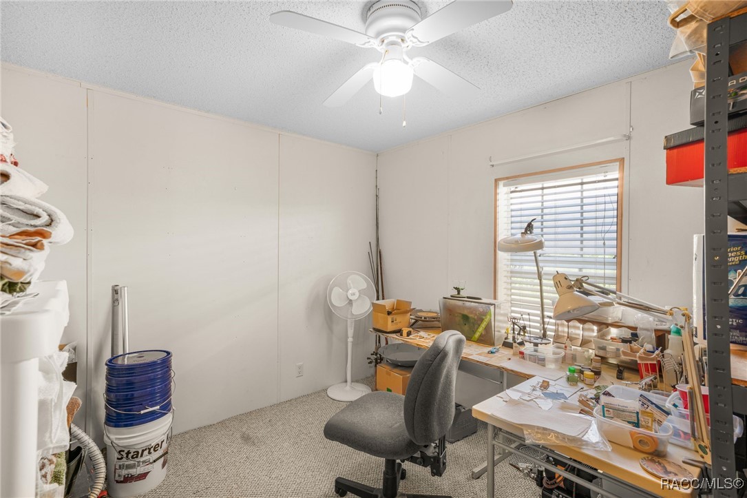 3818 N Webb Point, Hernando, Florida image 21